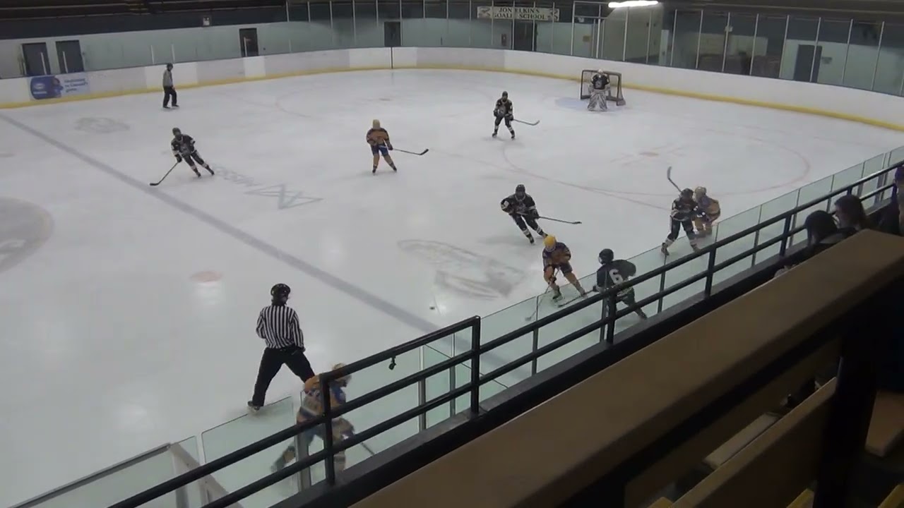 Playoff game 6 U15B Ian vs West Seneca Wings #9520 NYH3019 021 WSW Mar 18 26 P2