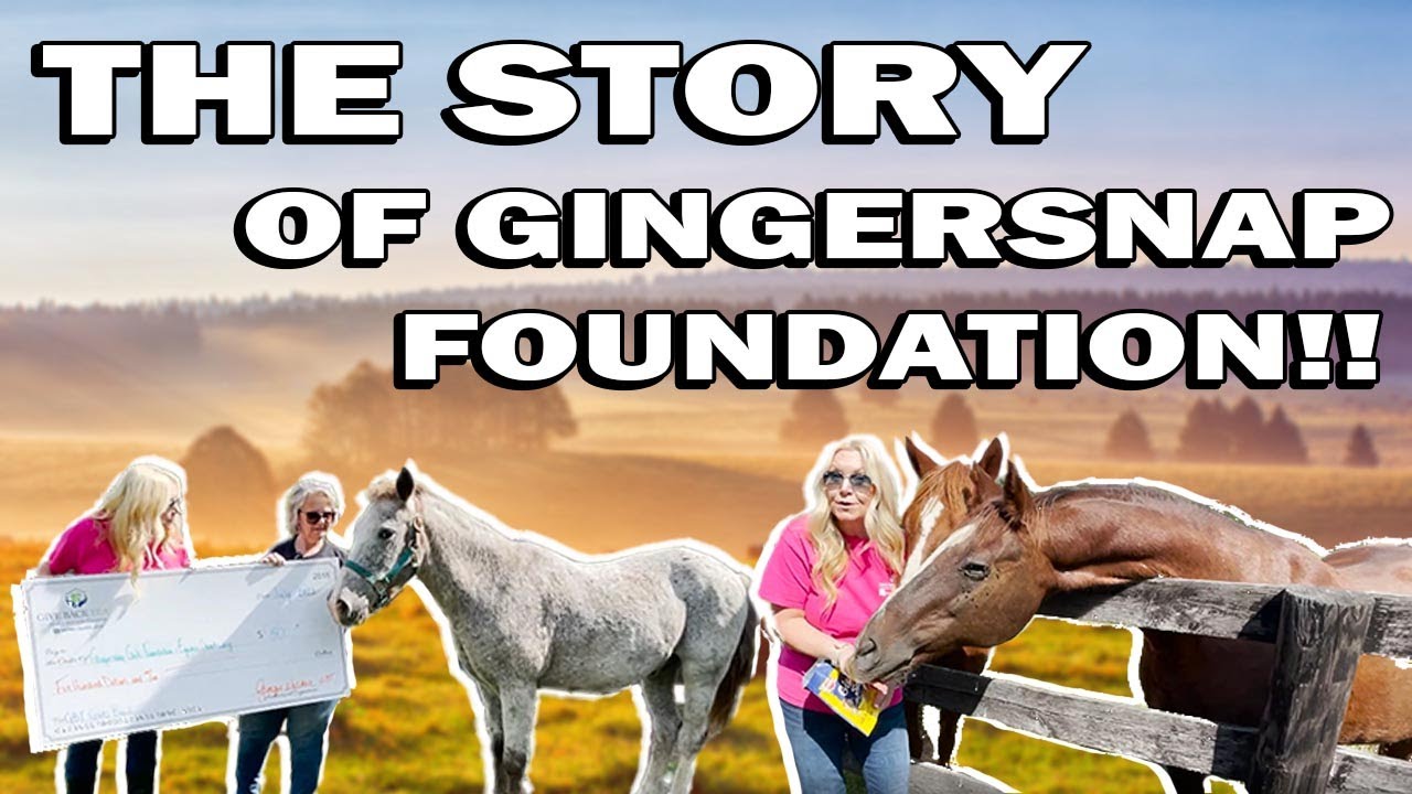 Horse Education & Rescue in Northern Virginia | Gingersnap Girls Equine Foundation
