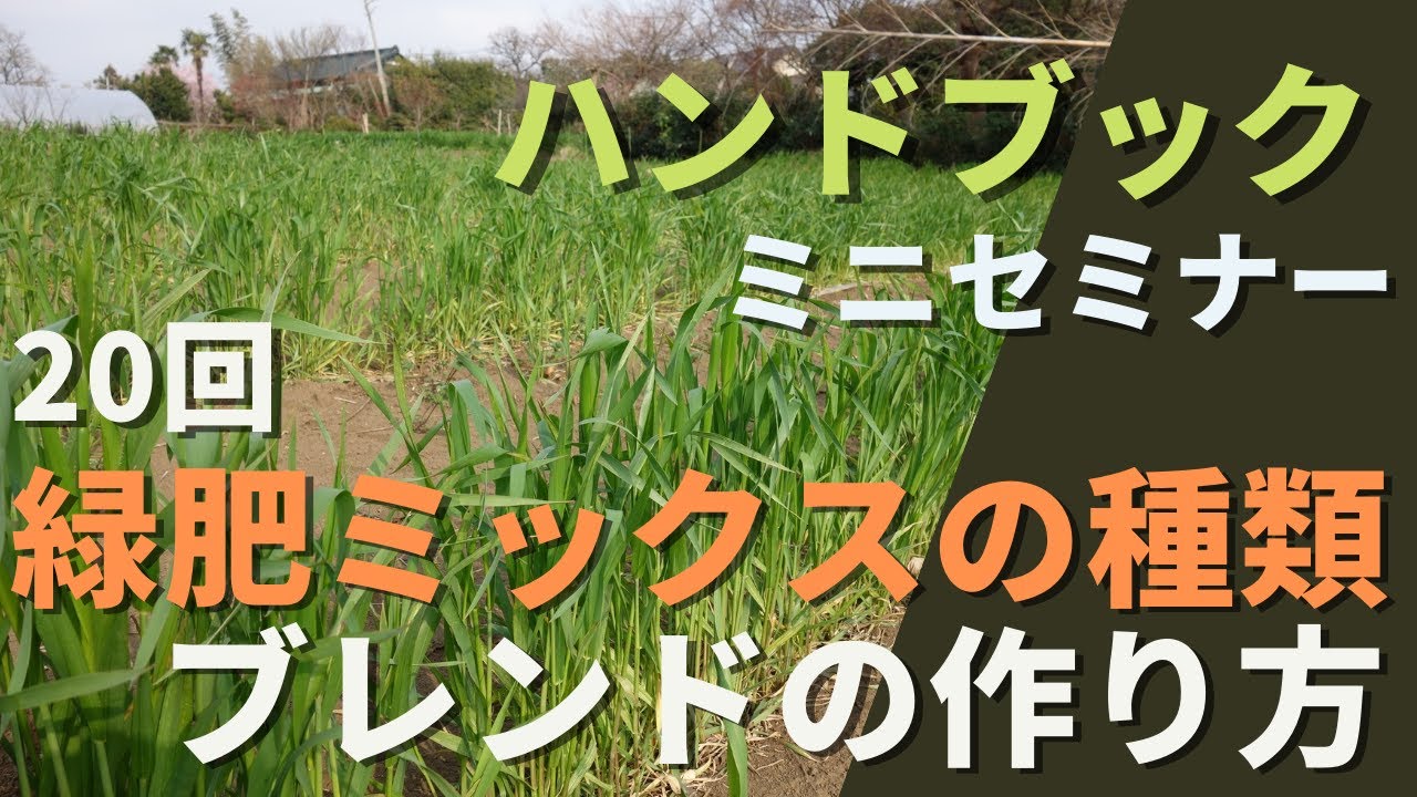 【自然菜園ミニセミナー第20回】「緑肥ミックスの種類・ブレンドの作り方」