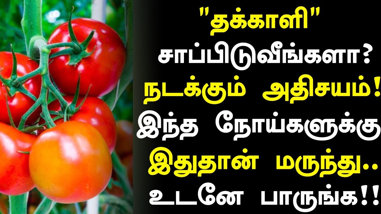 தக்காளி சாப்பிடுவீங்களா? அதிசயம்! | Tomato Health Benefits in Tamil | Health Tips Tamil