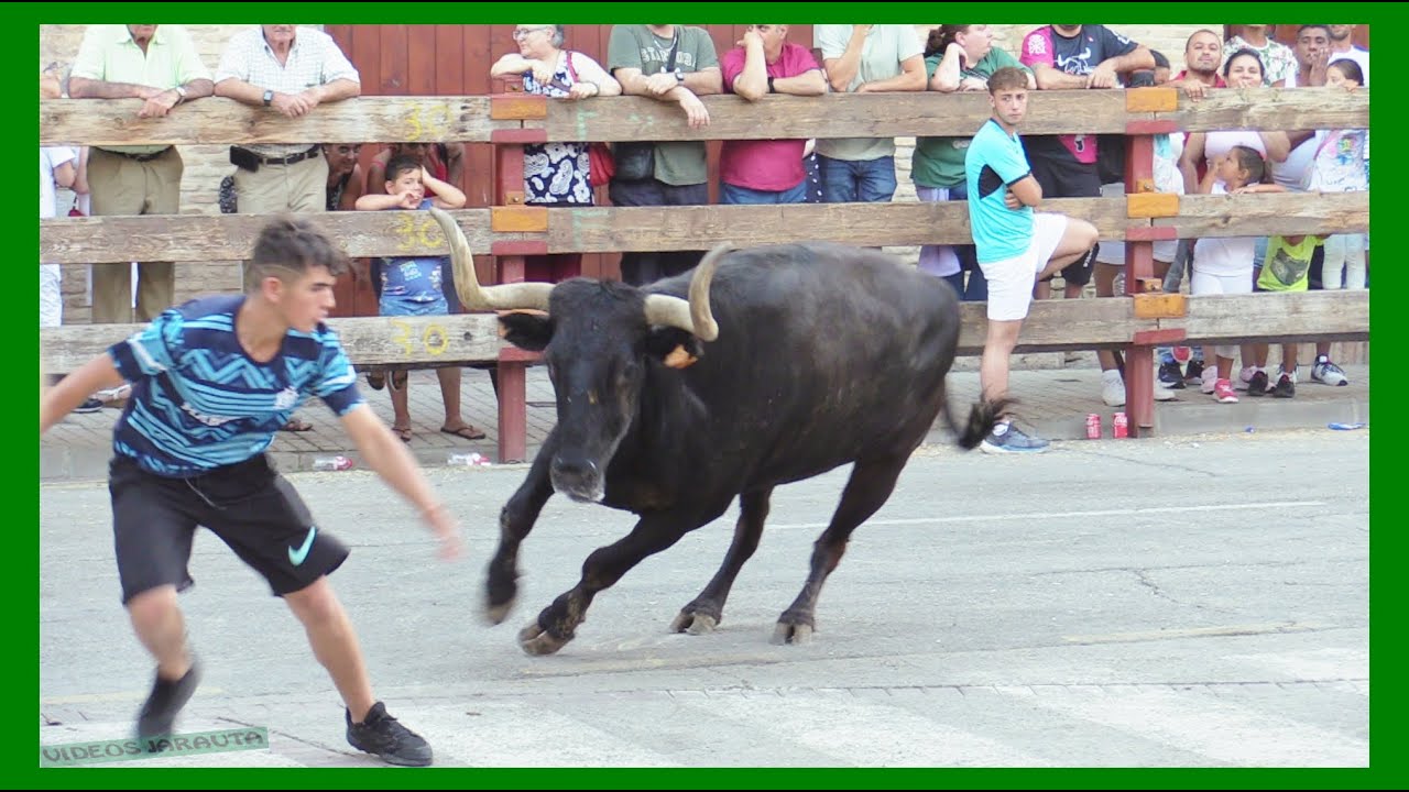 BUÑUEL ( NAVARRA ) TARDE VACAS EN LA CALLE ( MIERCOLES 26 JULIO 2023 ) GANAD.TEODORO VERGARA