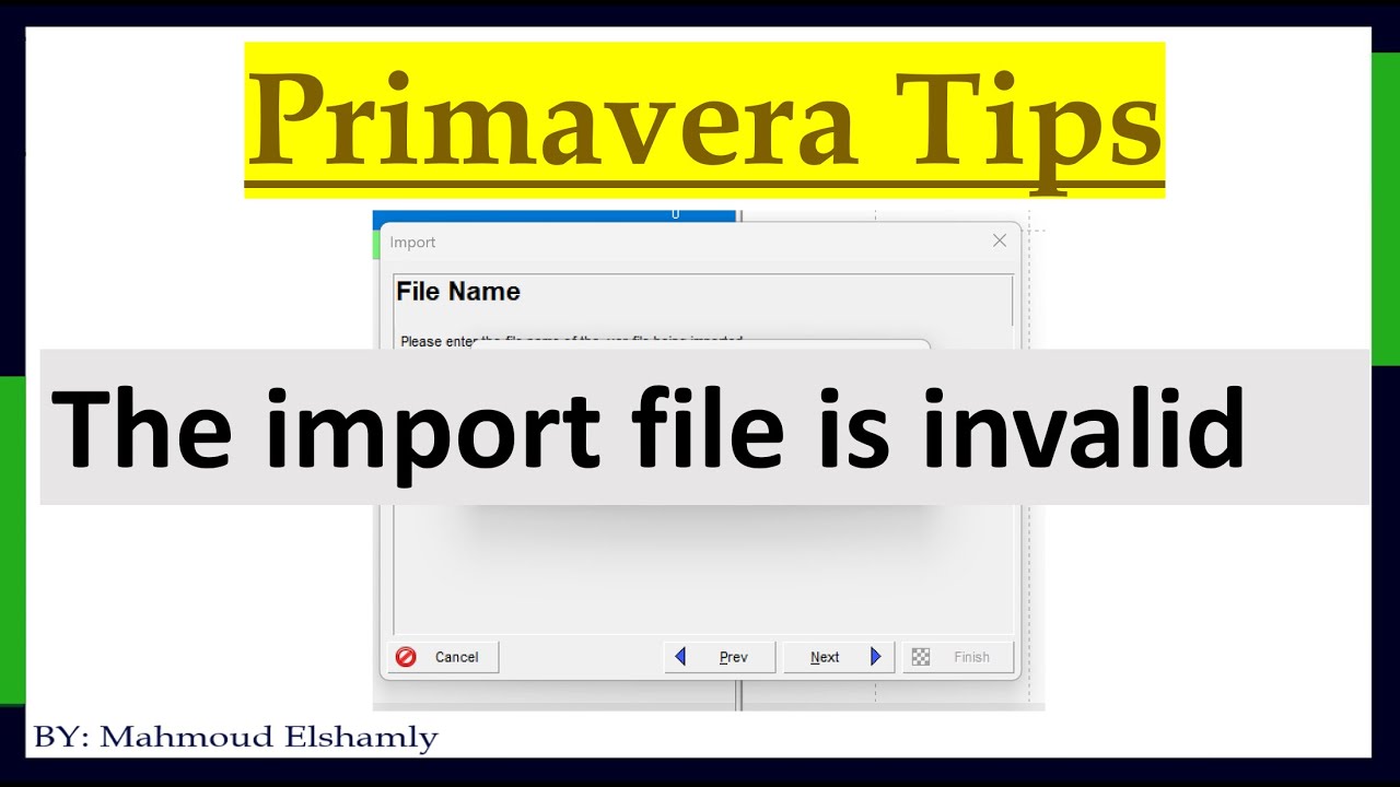 حل مشكلة في البريمافيرا  Import file is invalid