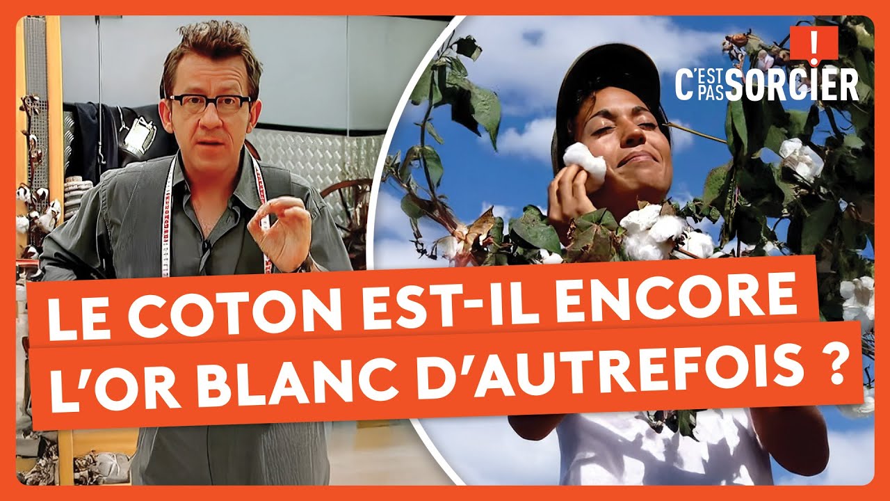 Le coton est-il encore l’or blanc d’autrefois ? - C'est pas sorcier