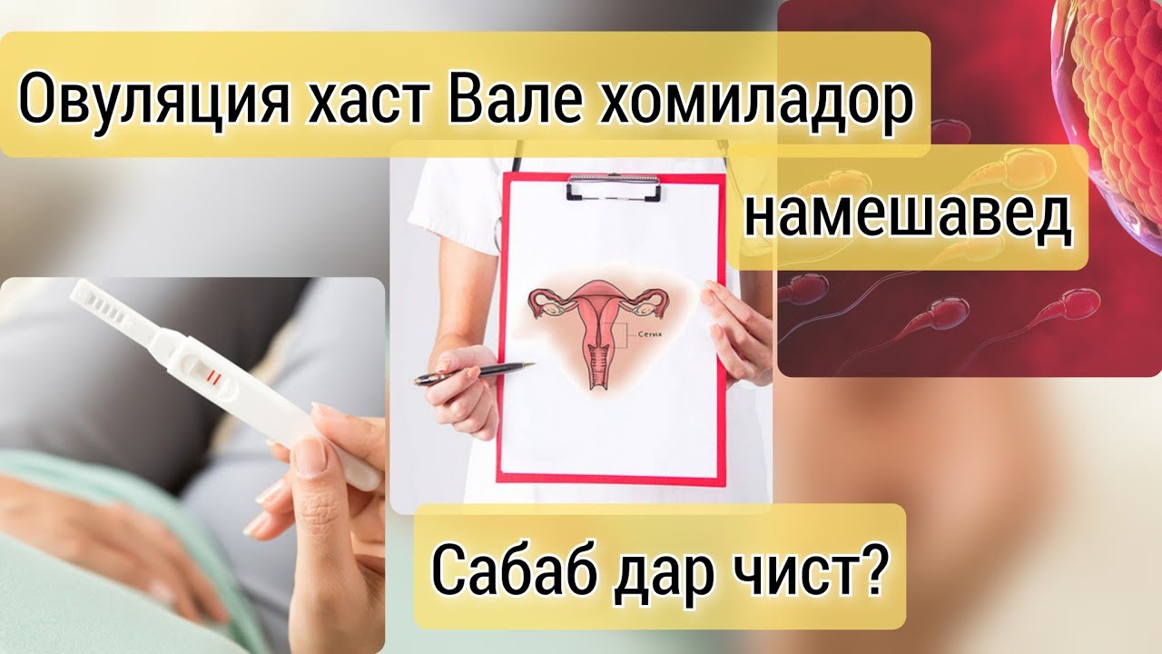 Почему овуляция происходит, но беременность не наступает? Иммунологическое бесплодие.
