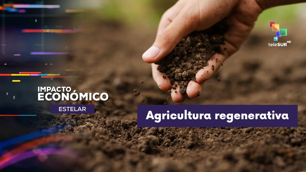 IMPACTO ECONÓMICO ESTELAR | Mundo | Defafíos que enfrenta el sector agrícola 11-03-2026