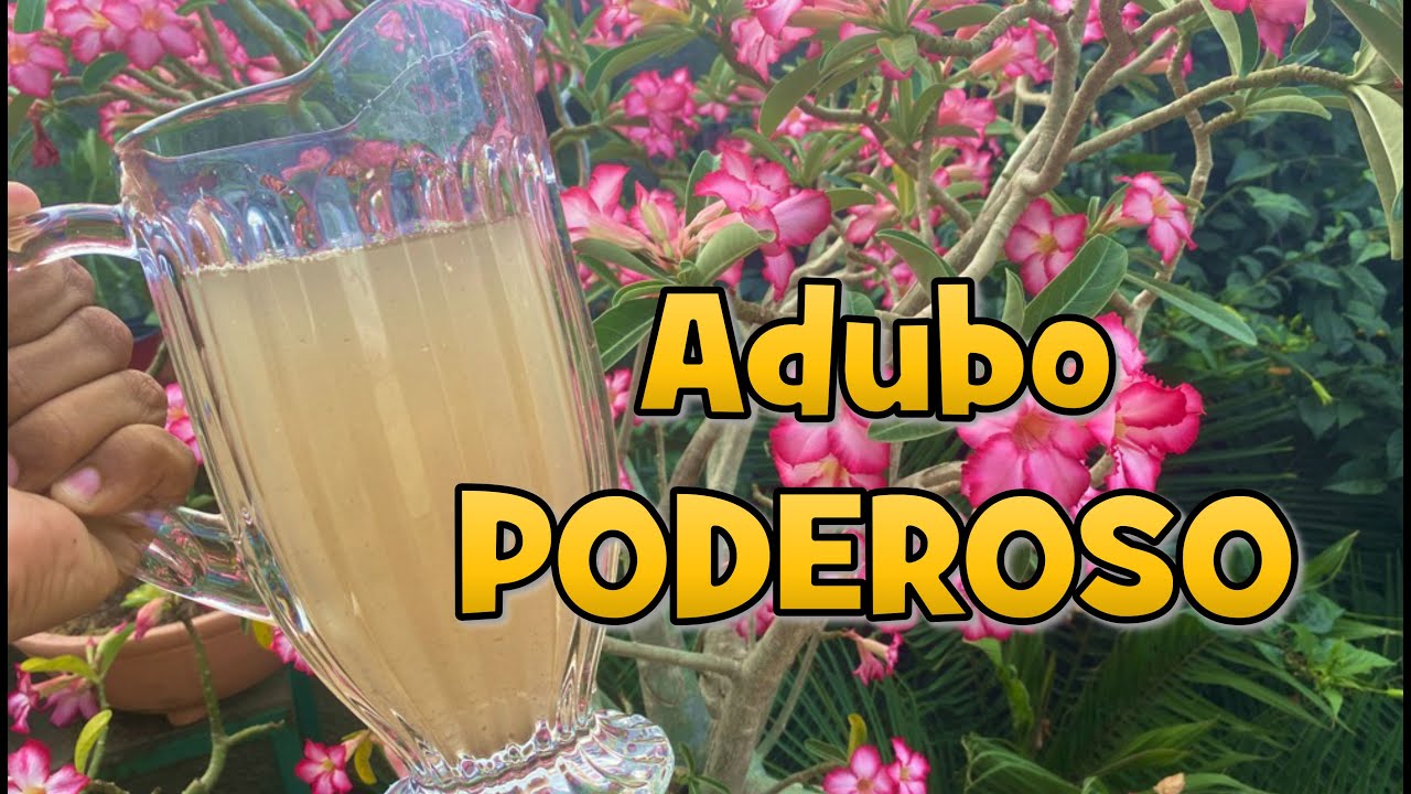 Adubo PODEROSO e GRATUITO para suas Plantas