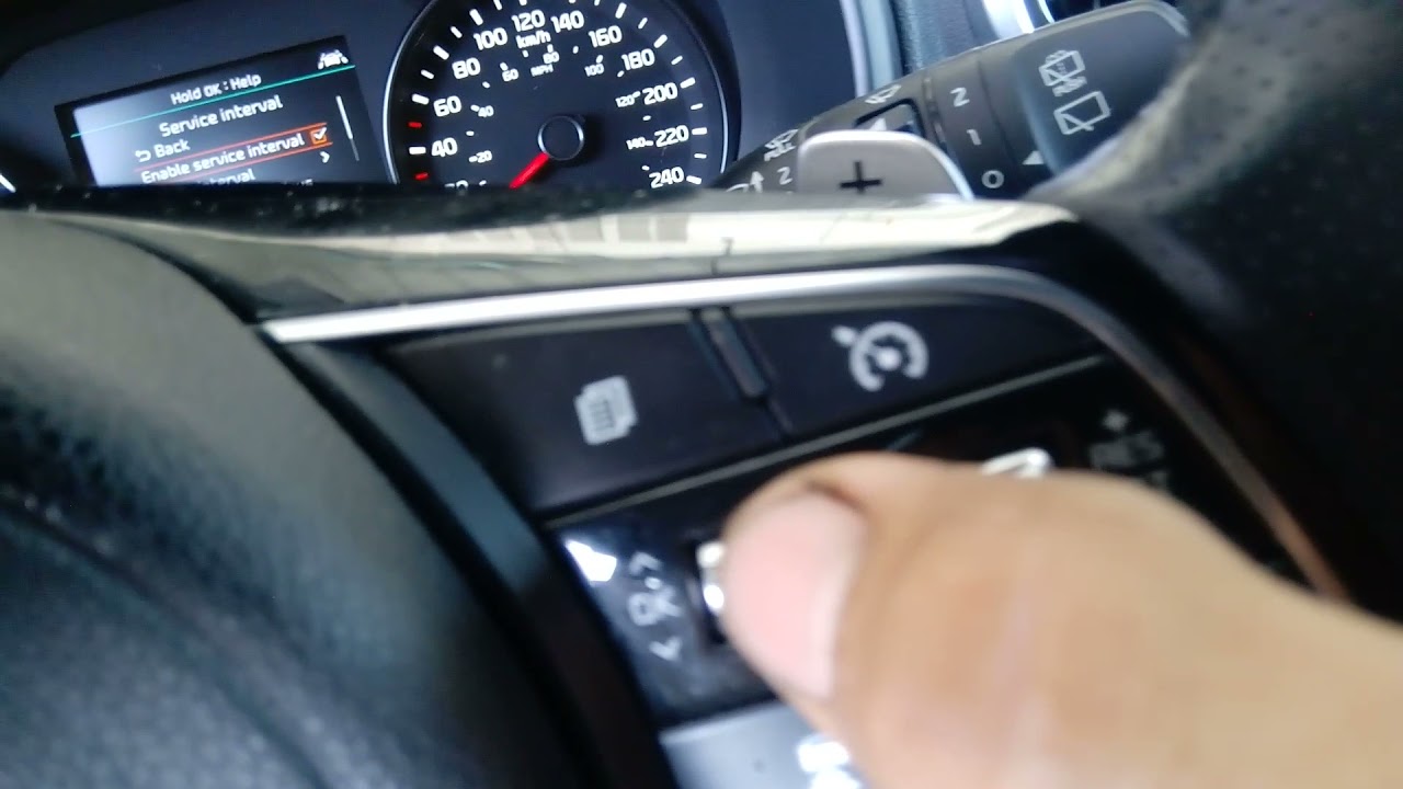 borrar servicio Kia Sportage 2019