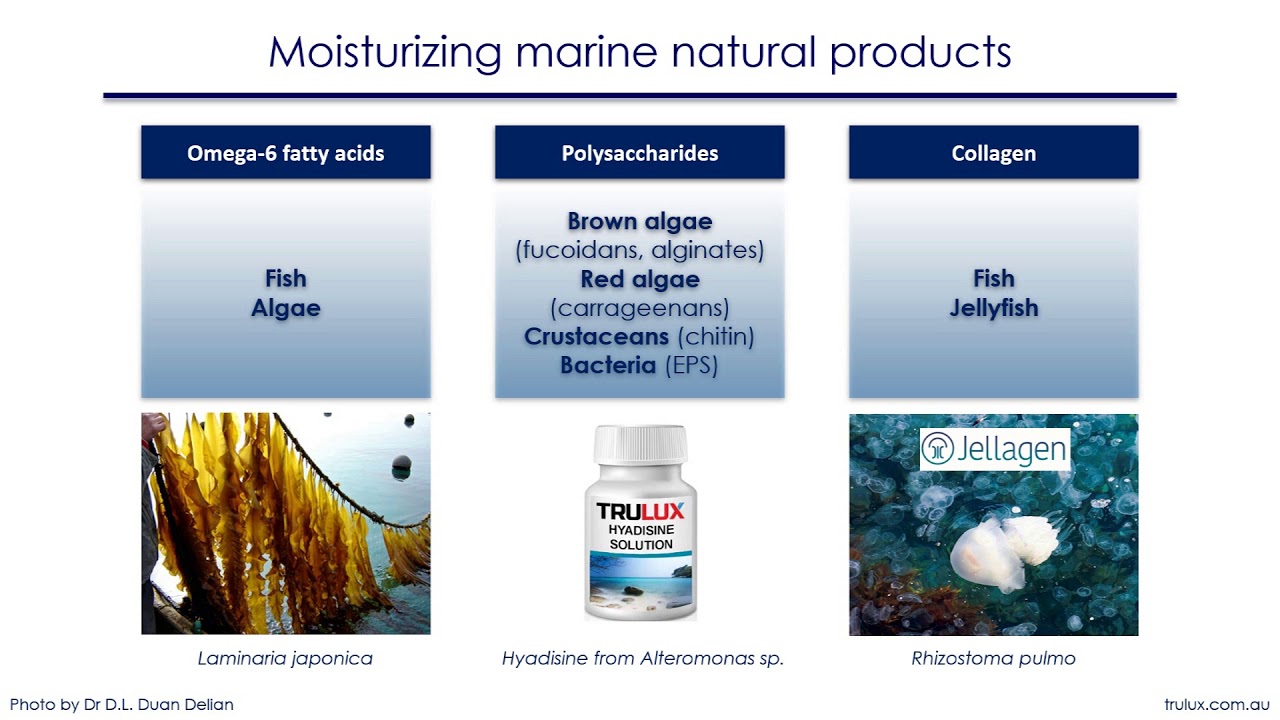 Marine-derived cosmetics and cosmeceuticals