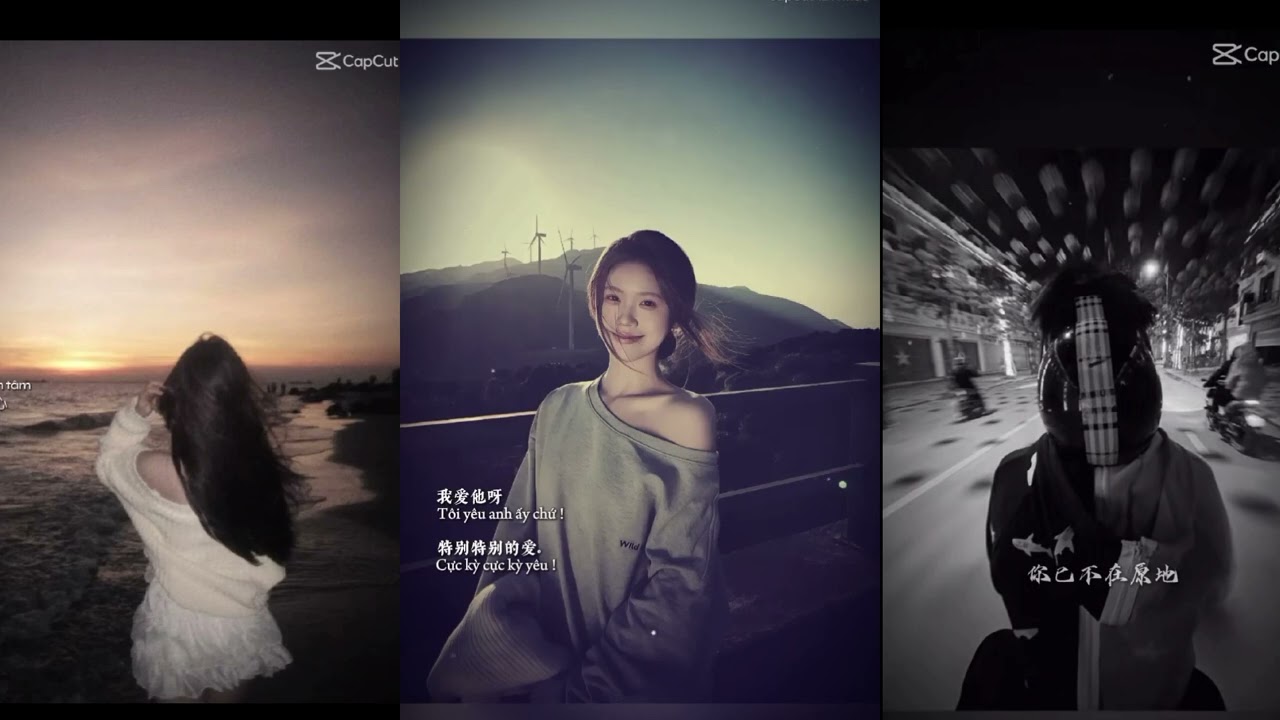 Tổng hợp các nhạc Trung hay #music #xh #xuhuongyoutube 