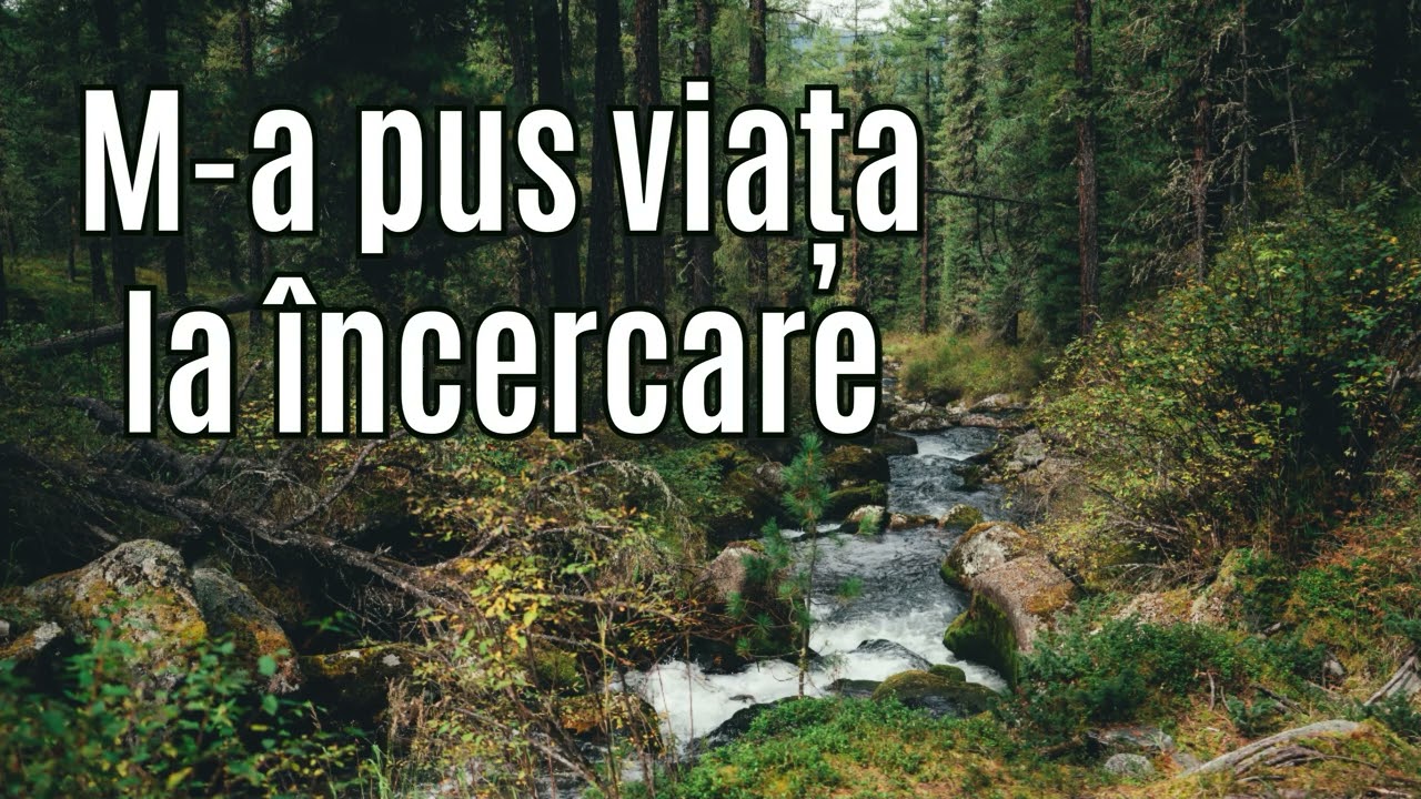 M-a pus viața la încercare