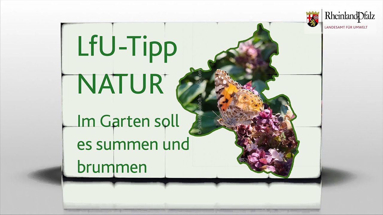 LfU-Tipp: Im Garten soll es summen und brummen