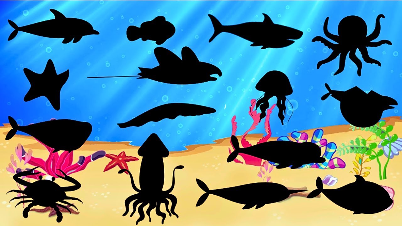 Adivinhe os Animais Marinhos pela Sombra 🐠 | Quiz Divertido do Oceano para Crianças