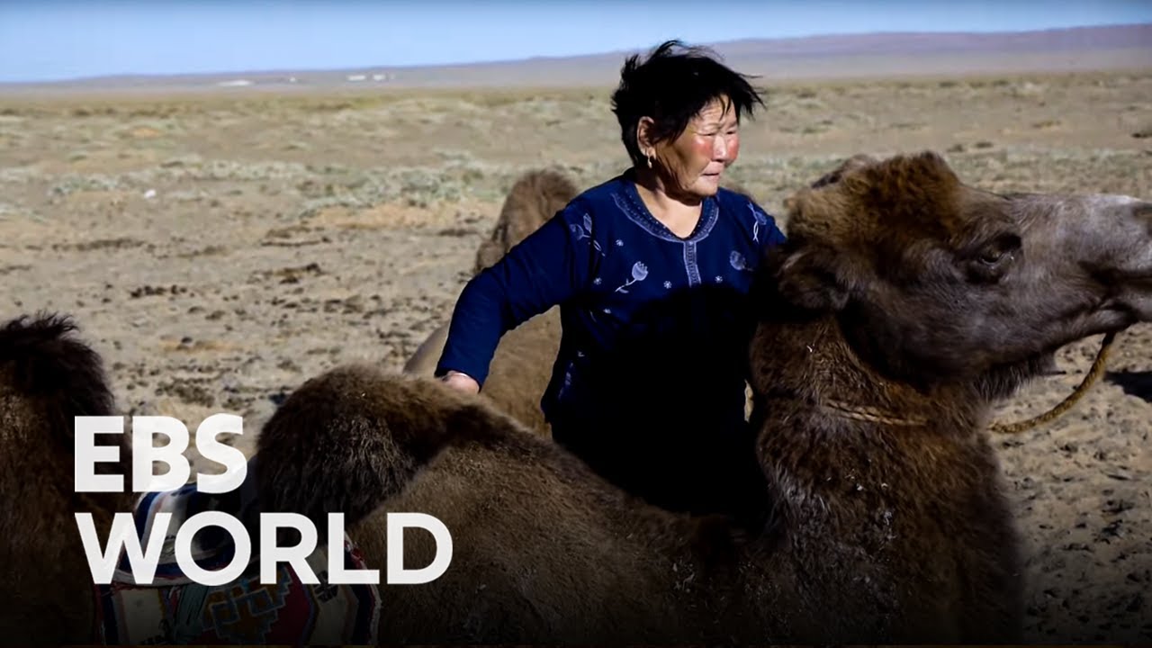 A Transcontinental Train Ride through Mongolia - Part 4. Gobi, the Desert Star