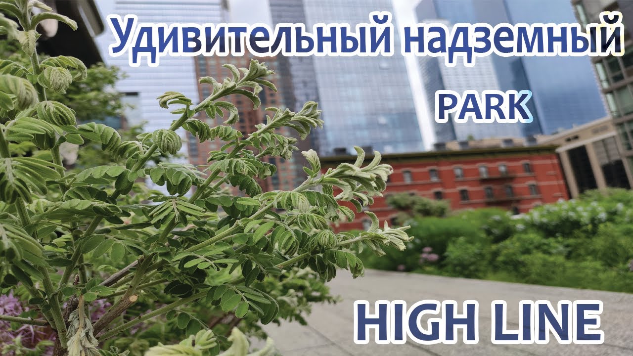 Надземный парк High Line. Самый удивительный парк Нью-Йорка. Прогулки по Нью-Йорку.