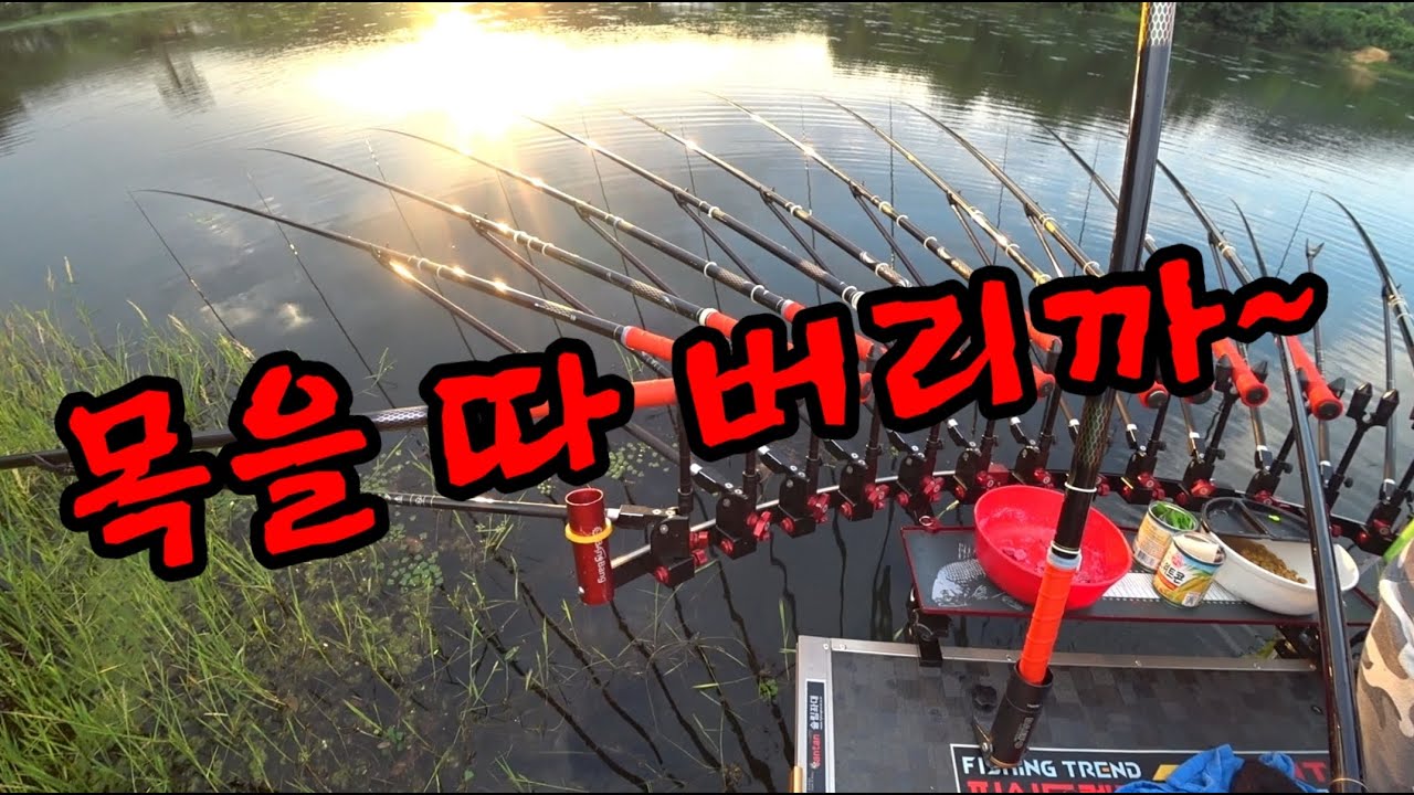 순지! 복수전! 삼세판이다!