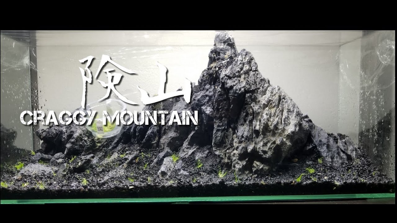 格好良い山を水槽に入れてみた【A mountain was put in the water tank】