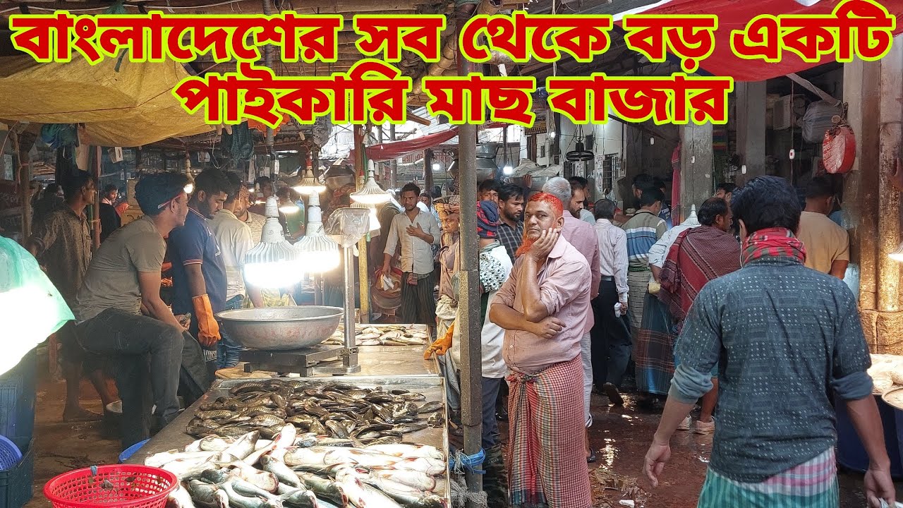 রোজার সময় পাইকারি মাছের দাম কেমন? Biggest Wholesale Fish Market & Fish Price 6 March 2026 | My Life