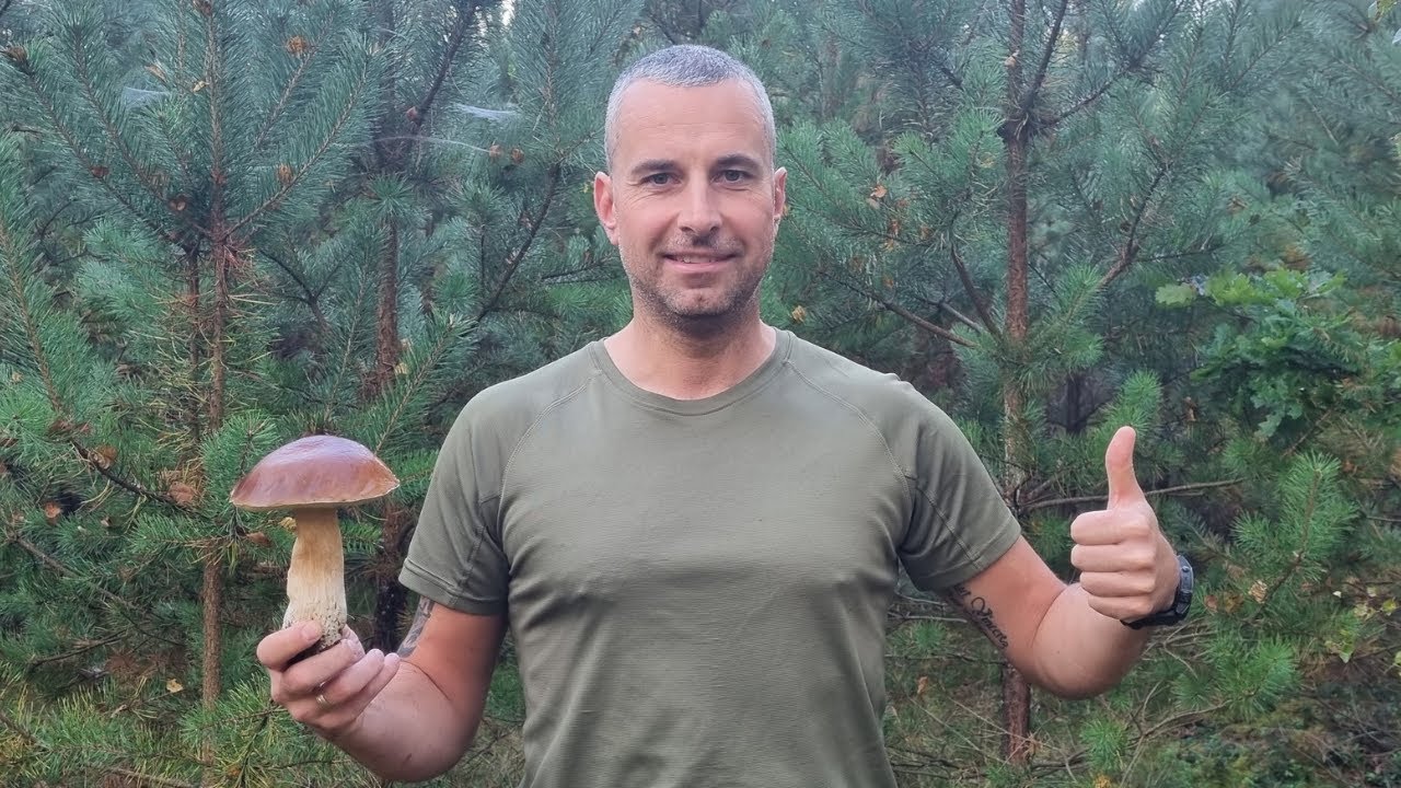 Na GRZYBACH NIE MOŻNA się NIGDY PODDAWAĆ!!! 🍄‍🟫🍄‍🟫🍄‍🟫 GRZYBOBRANIE, a tam PRZYMROZEK!!! 🍄‍🟫🍄‍🟫🍄‍🟫