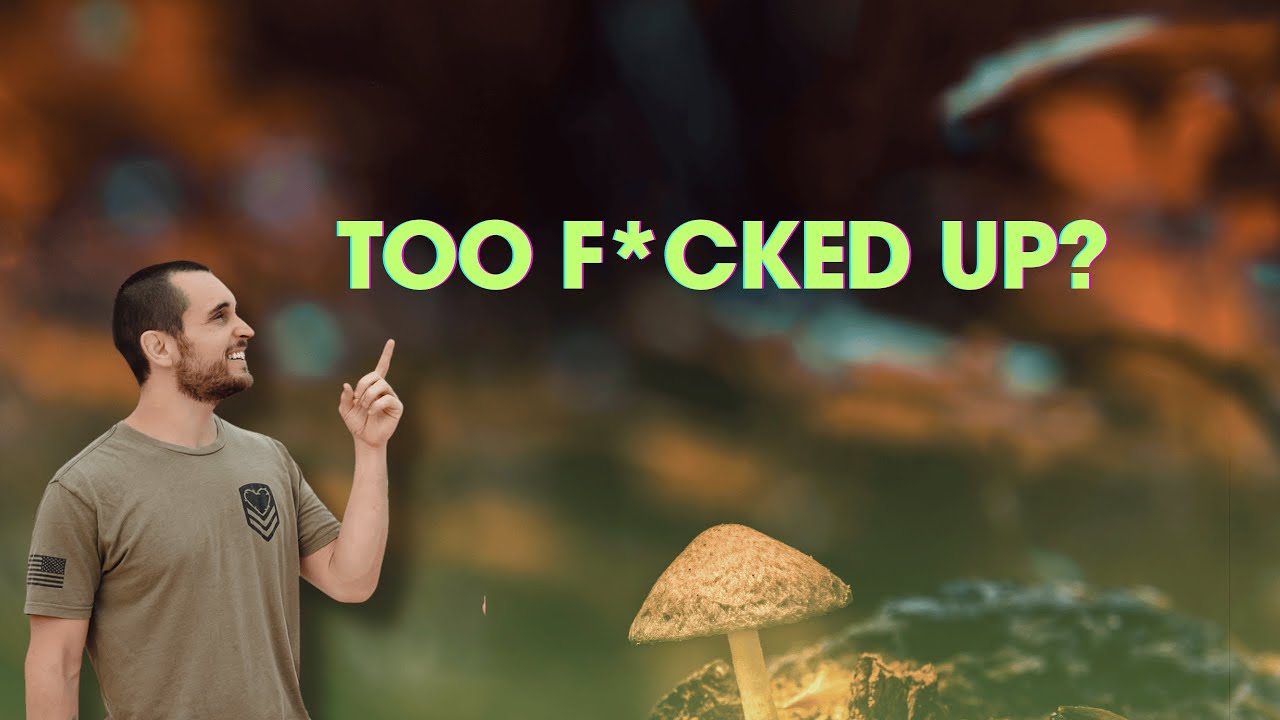 4 Lies You’ve Been Told About Psychedelics