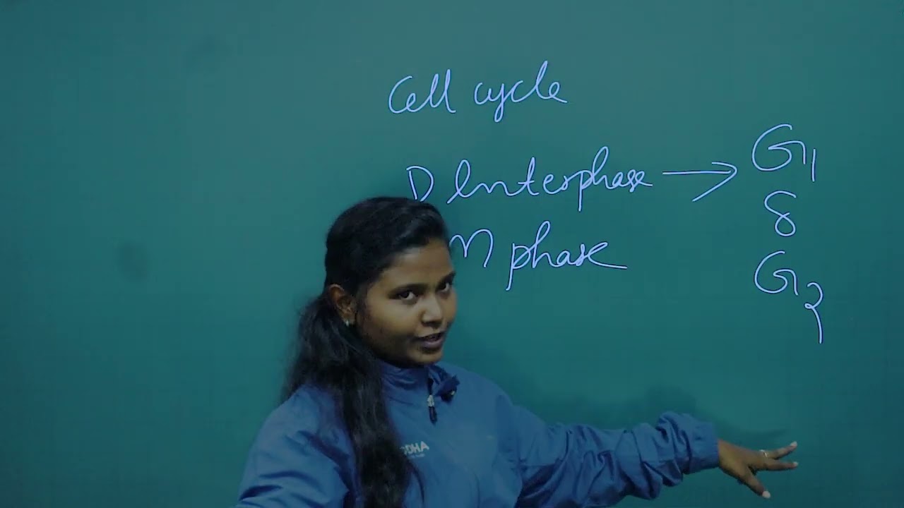Pluse One Botany | Cell cycle phases | Avodha Free Learning