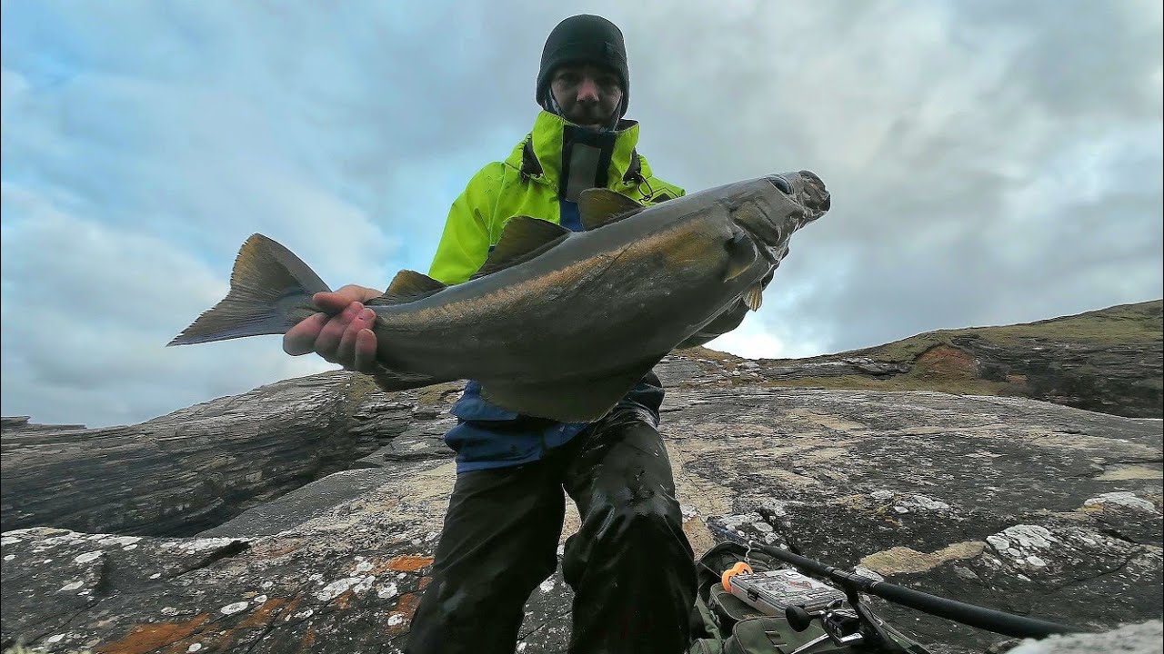 Winter Lure Fishing for Pollock