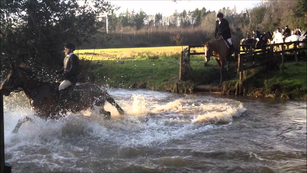 Bray Harriers, St Stephen's Day, Ashford Part 2