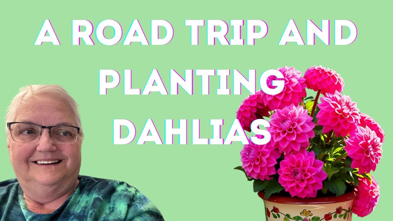 Road Trip to Restaurant Depot and Planting Dahlias