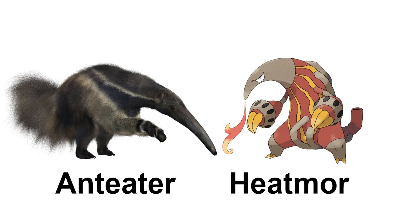 Pokémon Designed After Animals/Plants part #2: All Mammals