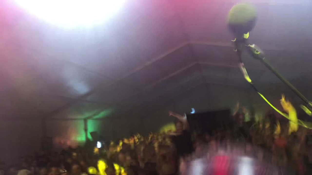 Wild Crowd at Brass Palmas!