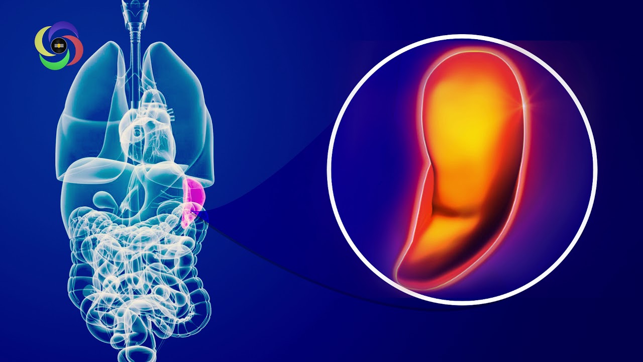 Spleen Healing Sound, Binaural Beat Frequency for a Healthy Spleen, Binaural Beats Isochronic Tone