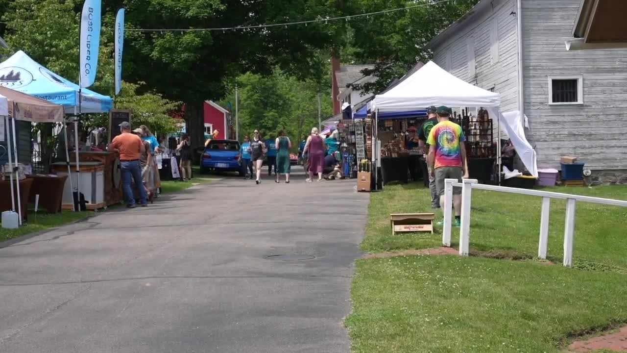 Ella Sharp Park held the 20th Annual Art, Beer & Wine Festival