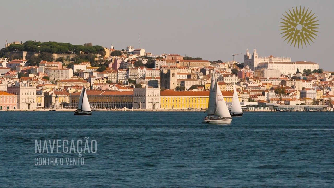A Universidade é um Sistema Vivo