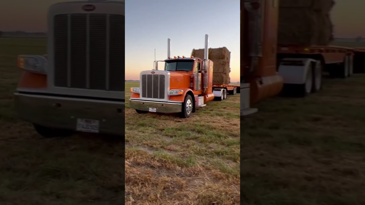 How to load hay or straw in a field of big bales with a hay squeeze #hay #straw #trucking