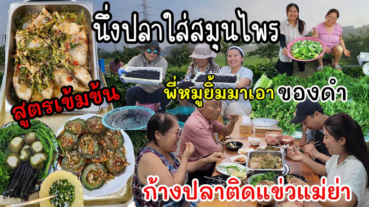 EP.883 นึ่งปลาใส่สมุนไพรสูตรเข้มข้น กลิ่นหอมทั่วปฐพี กินเพลินจนก้างติดฟันและนำโชคบินได้