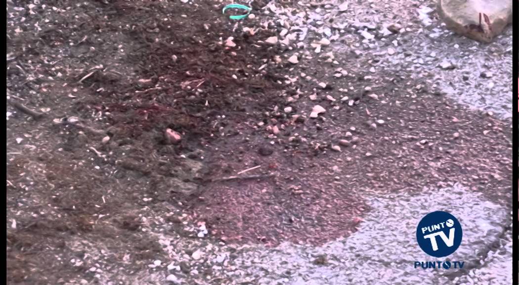 Omicidio a Giovinazzo: Fiorentino ucciso per un regolamento di conti