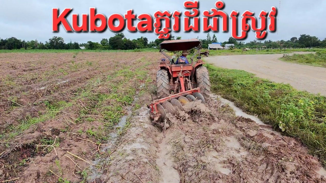 Kubota plows the rice field​ គូបូតាភ្ជួរដីស្រែ