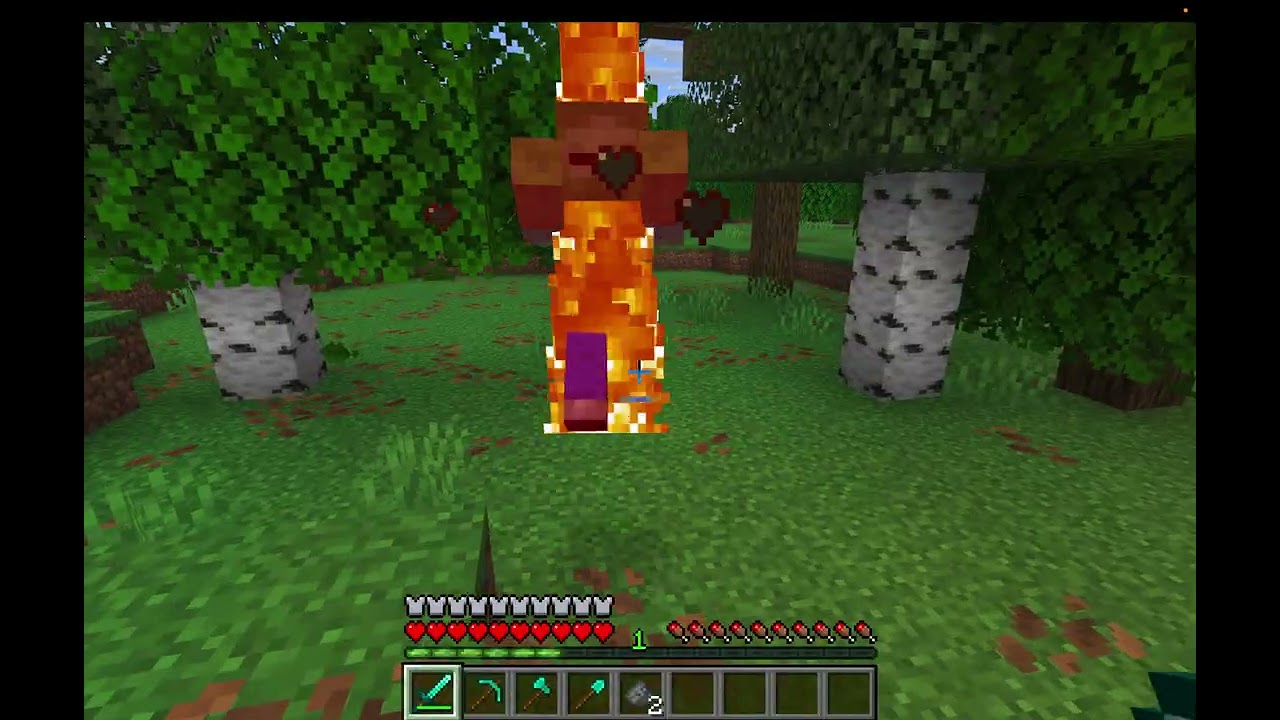 Minecraft showcase and survival