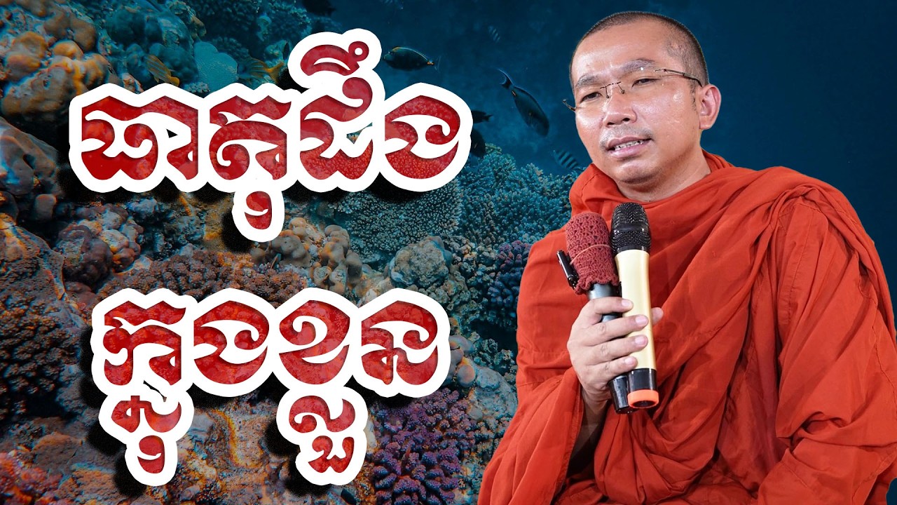 ធាតុដឹងក្នុងខ្លួន, ជួន​ កក្កដា, Choun Kakada