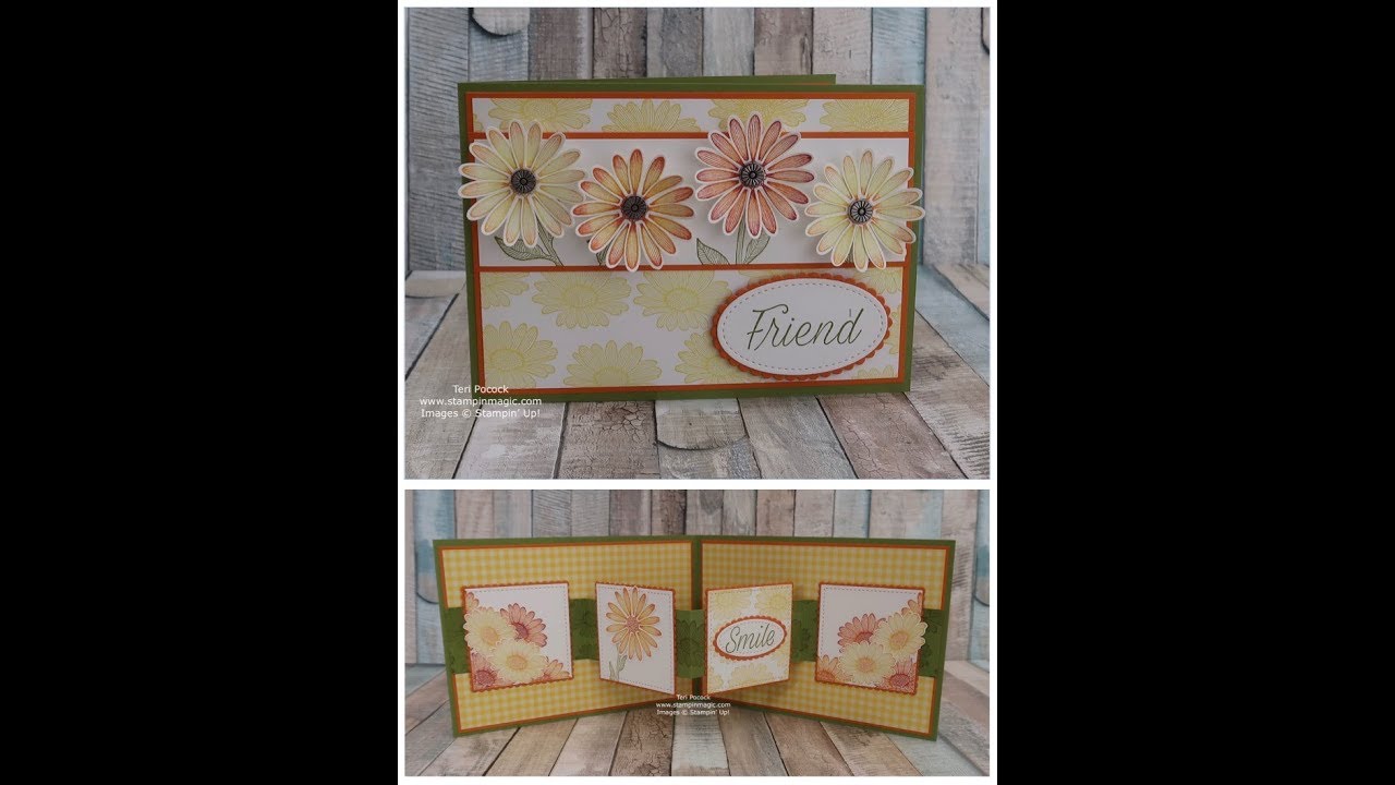 Pop-Out Panel Card using Daisy Lane from Stampin' Up!