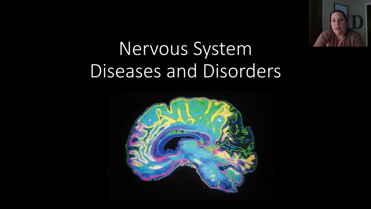 Nervous System Diseases & Disorders - Part 1