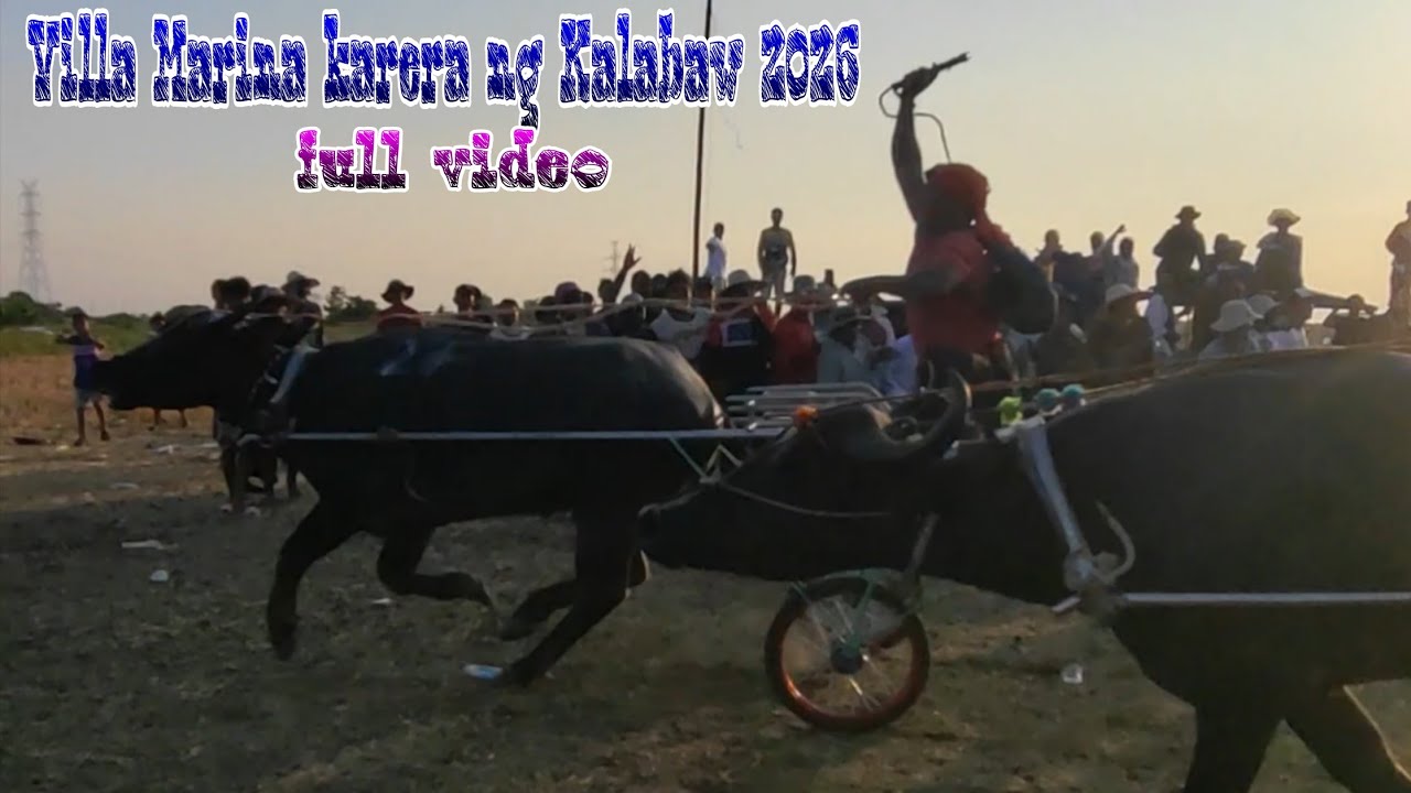 Villa Marina karera ng Kalabaw 2026 full video 