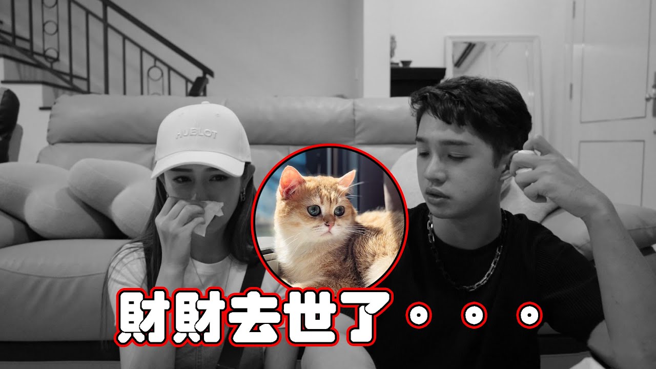 我們的孩子去世了...