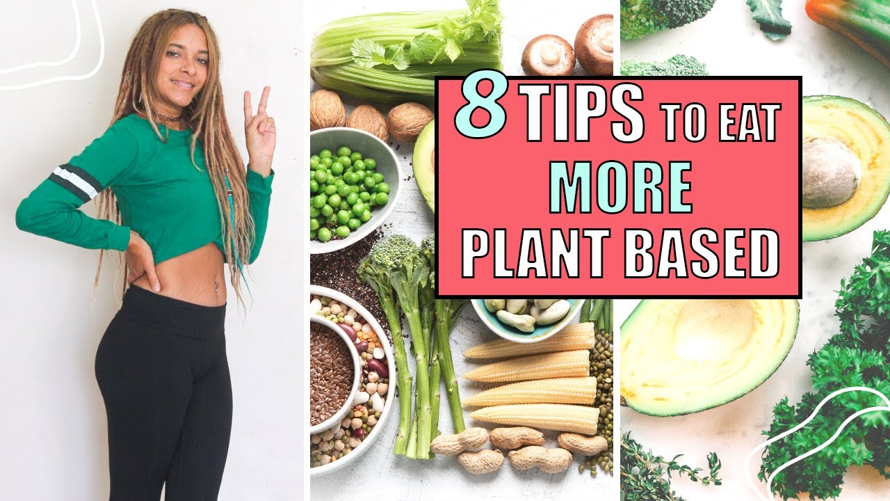 Beginners Guide To A Plant Based Diet  | How To Eat Plant Based Food