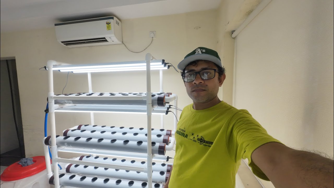 My New Indoor Hydroponic Project In Kolkata #hydroponicssystem #aquaponicfarming 