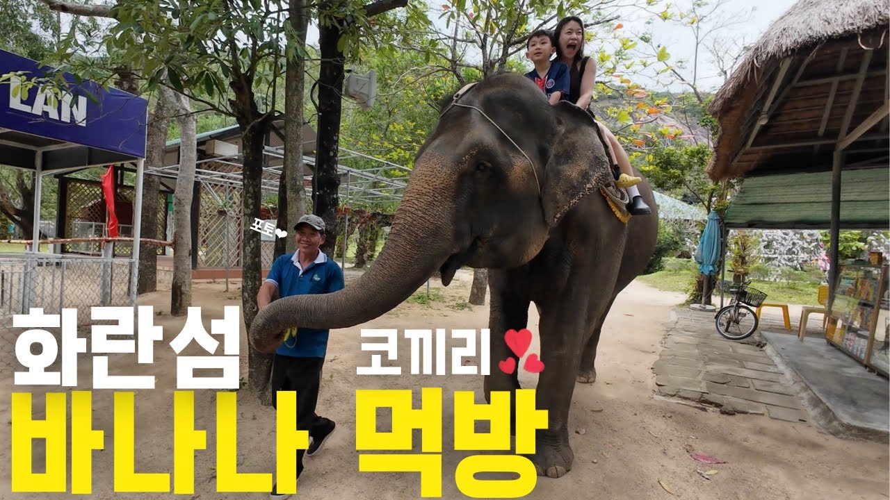 세계여행2🇻🇳/가족들과 시작한 세계여행2/화란섬코끼리 먹방보기/3대가족 여행
