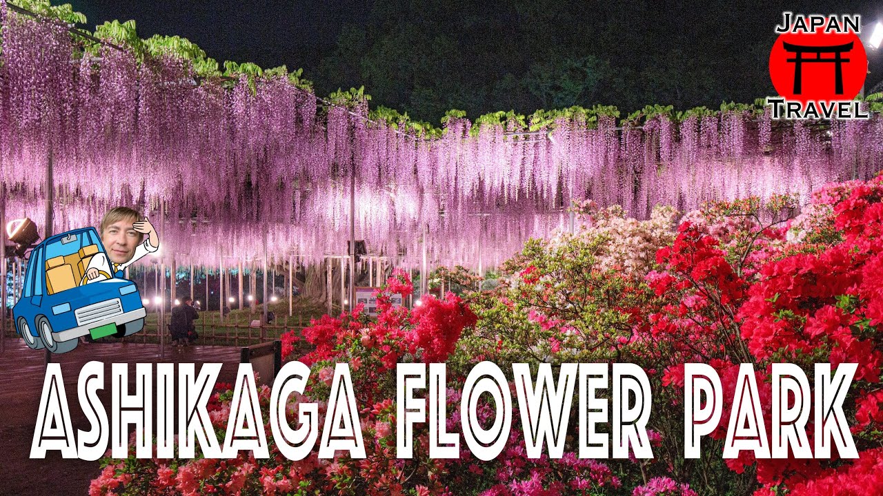 Japan Travel - Ashikaga Flower Park, a flower dream world close to Tokyo