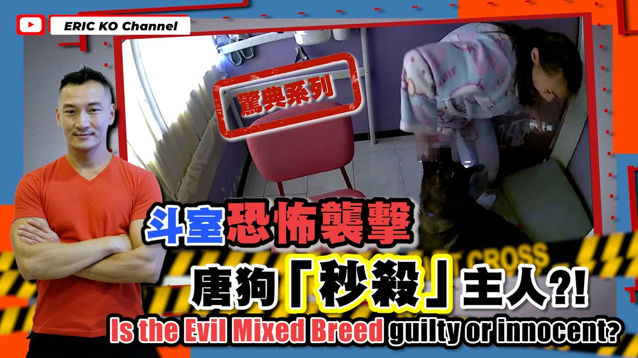 驚典系列😱  「唐狗秒殺主人 」斗室恐怖襲擊 Is the Evil Mixed Breed guilty or innocent?