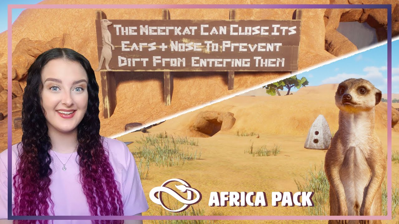 Meerkat Maze // Planet Zoo: Africa Pack