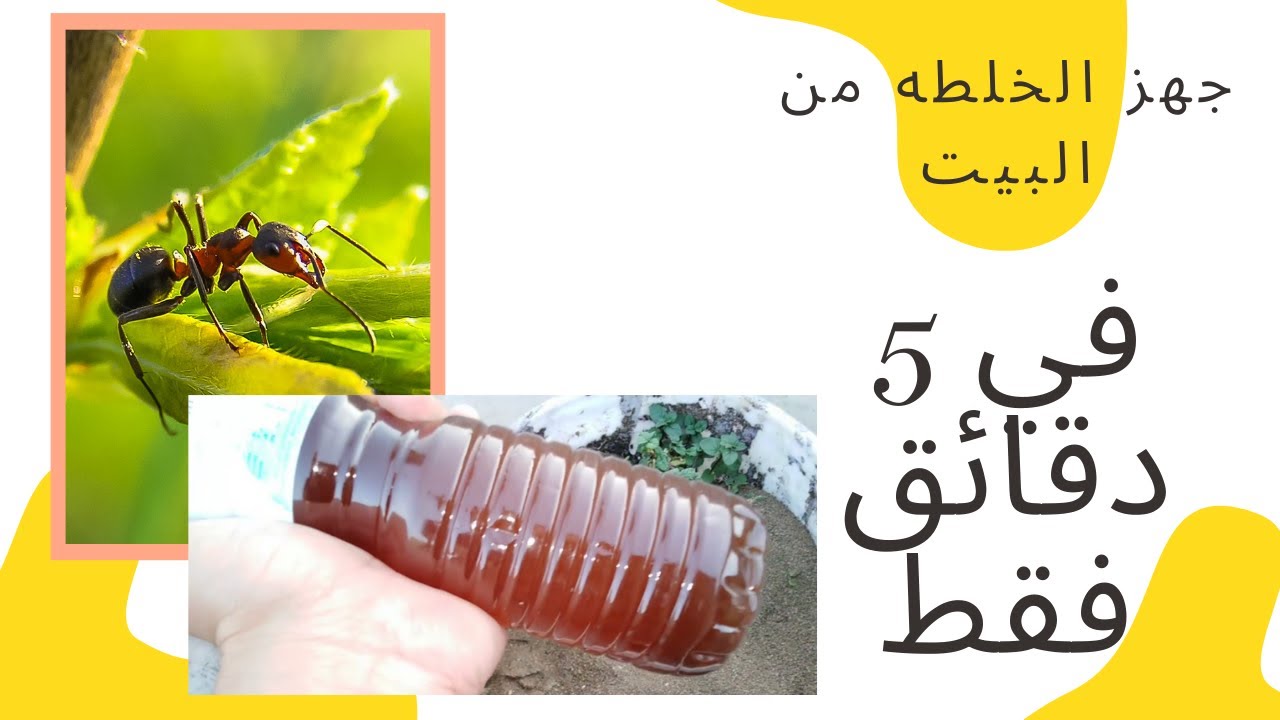 التخلص من النمل في الزرع, بوصفه منزليه تحضر في 5 دقائق | انا متاكد انك عارف الوصفه| ازرع سطحك