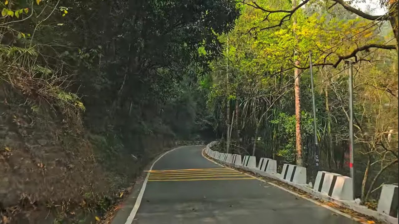 Pankhabari Road trip [Pankhabari to Kurseong]  through tea garden and steep hairpin bend